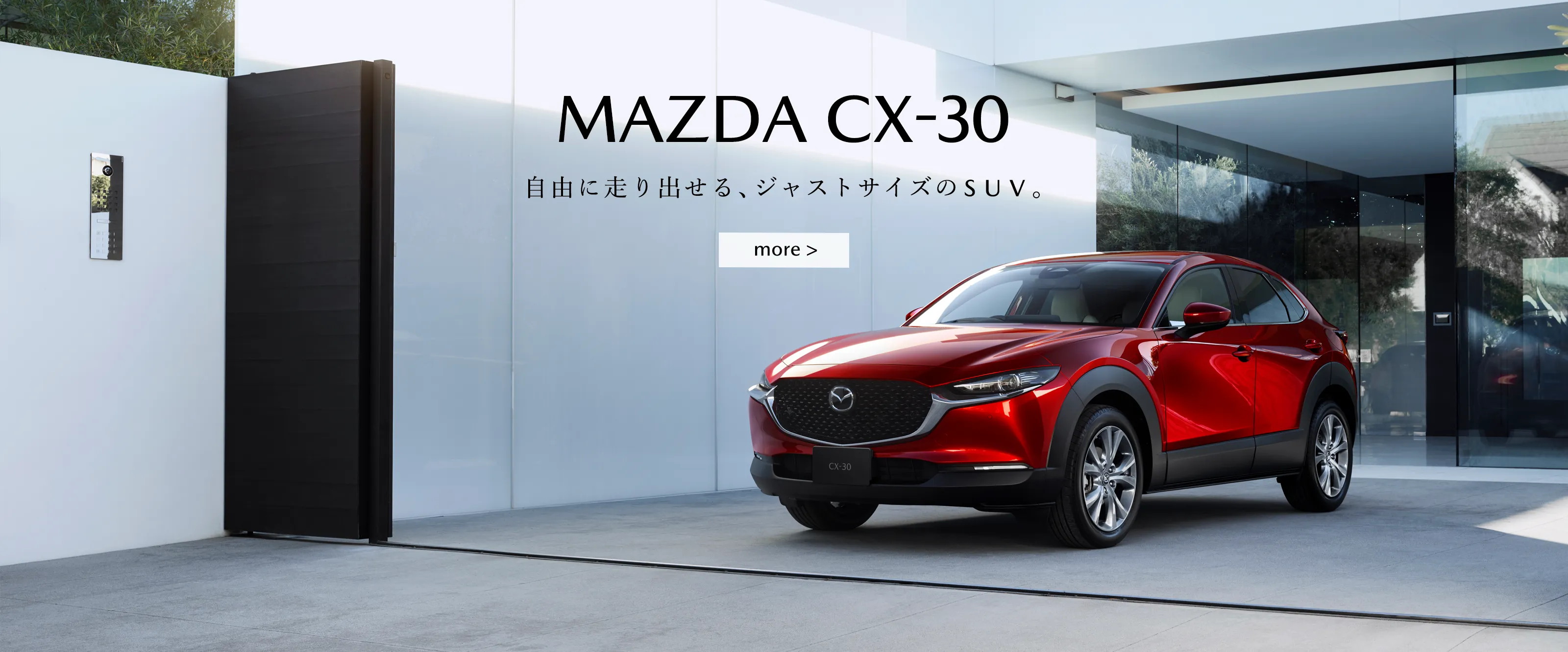 CX-30